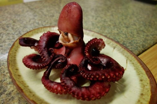 Cooked octopus (Jeju Island, South Korea)