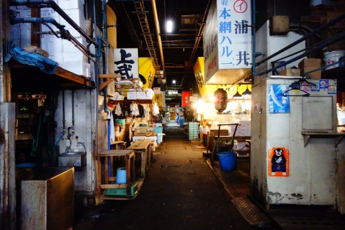 Inside the Tsukiji fish market (Tokyo, Japan)