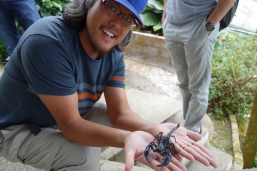 Handling scorpions (Cameron Highlands, Malaysia)